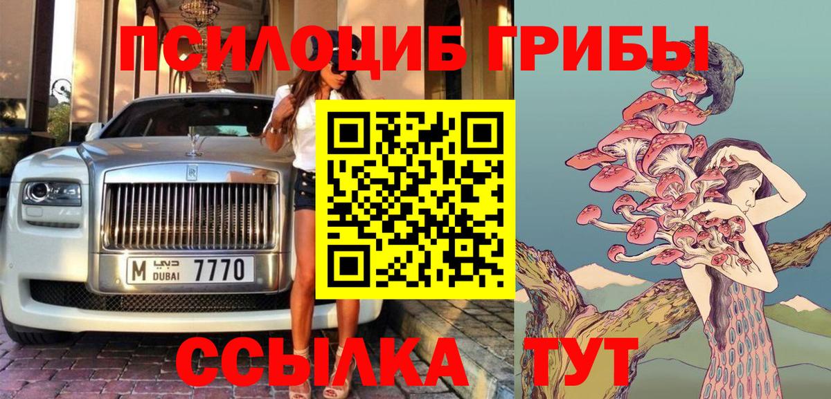 Набережные Челны  Псилоцибиновые грибы Magic Shrooms  Вход с VPN 