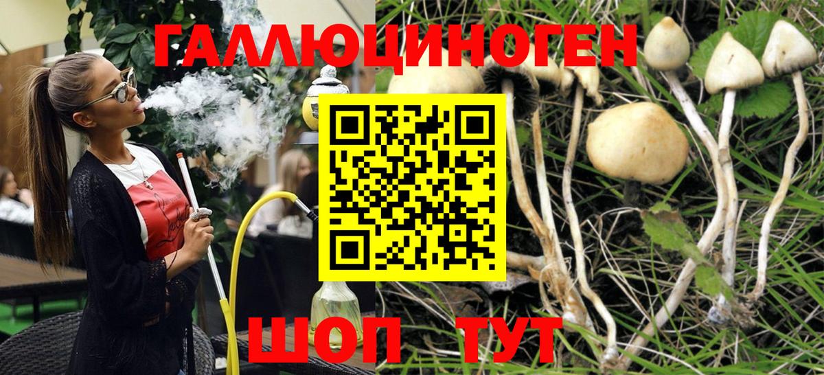 Псилоцибиновые грибы Cubensis Набережные Челны